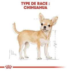 Royal Canin - Croquettes Chihuahua Pour Chien Adulte 12 Royal Canin - Croquettes Chihuahua Pour Chien Adulte -Animalerie Boutique 67347