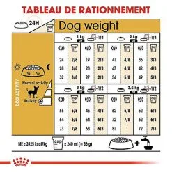 Royal Canin - Croquettes Chihuahua Pour Chien Adulte 16 Royal Canin - Croquettes Chihuahua Pour Chien Adulte -Animalerie Boutique 67352