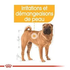 Royal Canin - Croquettes Medium Dermacomfort Pour Chien -Animalerie Boutique 67443