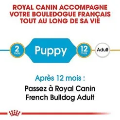 Royal Canin - Croquettes Bouledogue Français Junior Pour Chiot -Animalerie Boutique 67465