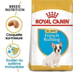 Royal Canin - Croquettes Bouledogue Français Junior Pour Chiot -Animalerie Boutique 67466