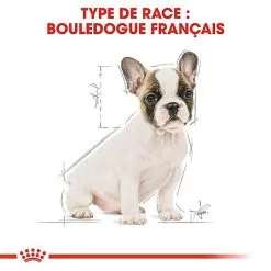 Royal Canin - Croquettes Bouledogue Français Junior Pour Chiot -Animalerie Boutique 67469