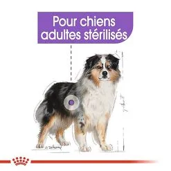 Royal Canin - Croquettes Medium Sterilised Pour Chien Stérilisé - 3Kg -Animalerie Boutique 67578