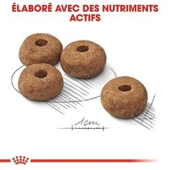 Royal Canin - Croquettes Medium Sterilised Pour Chien Stérilisé - 3Kg -Animalerie Boutique 67580