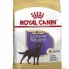 Royal Canin - Croquettes Labrador Pour Chien Stérilisé - 12Kg -Animalerie Boutique 67584