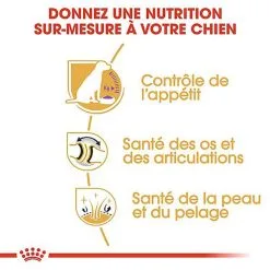 Royal Canin - Croquettes Labrador Pour Chien Stérilisé - 12Kg -Animalerie Boutique 67588