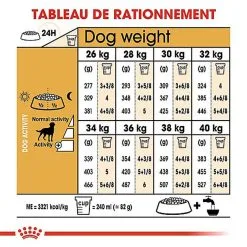 Royal Canin - Croquettes Labrador Pour Chien Stérilisé - 12Kg -Animalerie Boutique 67589