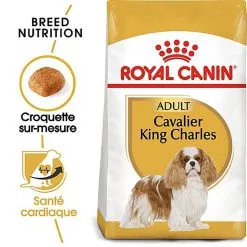 Royal Canin - Croquettes Cavalier King Charles Pour Chien Adulte -Animalerie Boutique 67593
