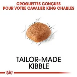 Royal Canin - Croquettes Cavalier King Charles Pour Chien Adulte -Animalerie Boutique 67594