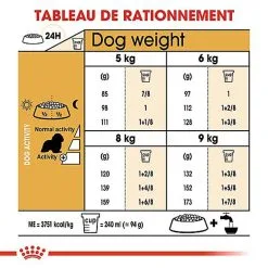 Royal Canin - Croquettes Cavalier King Charles Pour Chien Adulte -Animalerie Boutique 67596