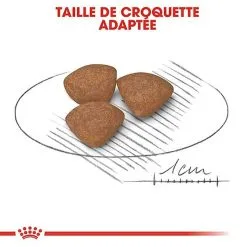 Royal Canin - Croquettes Mini Puppy Pour Chiot -Animalerie Boutique 67633