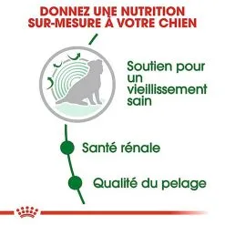 Royal Canin - Croquettes Mini Ageing 12+ Pour Chien Senior - 1,5Kg -Animalerie Boutique 67639