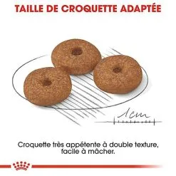 Royal Canin - Croquettes Mini Ageing 12+ Pour Chien Senior - 3,5Kg -Animalerie Boutique 67647