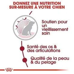 Royal Canin - Croquettes Medium Ageing 10+ Pour Chien Senior - 15Kg -Animalerie Boutique 67667