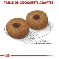 Royal Canin - Croquettes Medium Ageing 10+ Pour Chien Senior - 15Kg -Animalerie Boutique 67668