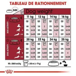 Royal Canin - Croquettes Medium Ageing 10+ Pour Chien Senior - 15Kg -Animalerie Boutique 67669
