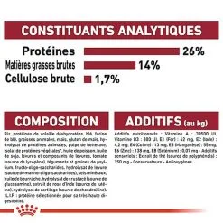 Royal Canin - Croquettes Medium Ageing 10+ Pour Chien Senior - 15Kg -Animalerie Boutique 67670