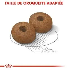 Royal Canin - Croquettes Maxi Ageing 8+ Pour Chien Senior - 15Kg -Animalerie Boutique 67675