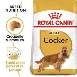 Royal Canin - Croquettes Cocker Pour Chien Adulte -Animalerie Boutique 67779