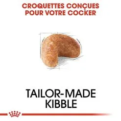 Royal Canin - Croquettes Cocker Pour Chien Adulte -Animalerie Boutique 67780