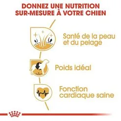 Royal Canin - Croquettes Cocker Pour Chien Adulte -Animalerie Boutique 67781