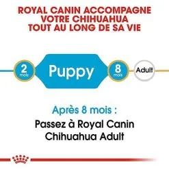 Royal Canin - Croquettes Chihuahua Junior Pour Chiot - 1,5Kg 11 Royal Canin - Croquettes Chihuahua Junior Pour Chiot - 1,5Kg -Animalerie Boutique 67800