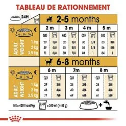 Royal Canin - Croquettes Chihuahua Junior Pour Chiot - 1,5Kg 16 Royal Canin - Croquettes Chihuahua Junior Pour Chiot - 1,5Kg -Animalerie Boutique 67805
