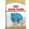 Royal Canin - Croquettes Cavalier King Charles Junior Pour Chiot - 1,5Kg -Animalerie Boutique 67807