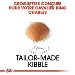 Royal Canin - Croquettes Cavalier King Charles Junior Pour Chiot - 1,5Kg -Animalerie Boutique 67810