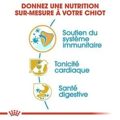 Royal Canin - Croquettes Cavalier King Charles Junior Pour Chiot - 1,5Kg -Animalerie Boutique 67811