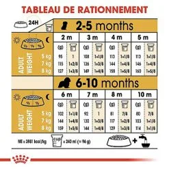 Royal Canin - Croquettes Cavalier King Charles Junior Pour Chiot - 1,5Kg -Animalerie Boutique 67813