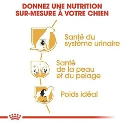 Royal Canin - Croquettes Bichon Frisé Pour Chien Adulte - 1,5Kg 13 Royal Canin - Croquettes Bichon Frisé Pour Chien Adulte - 1,5Kg -Animalerie Boutique 67818