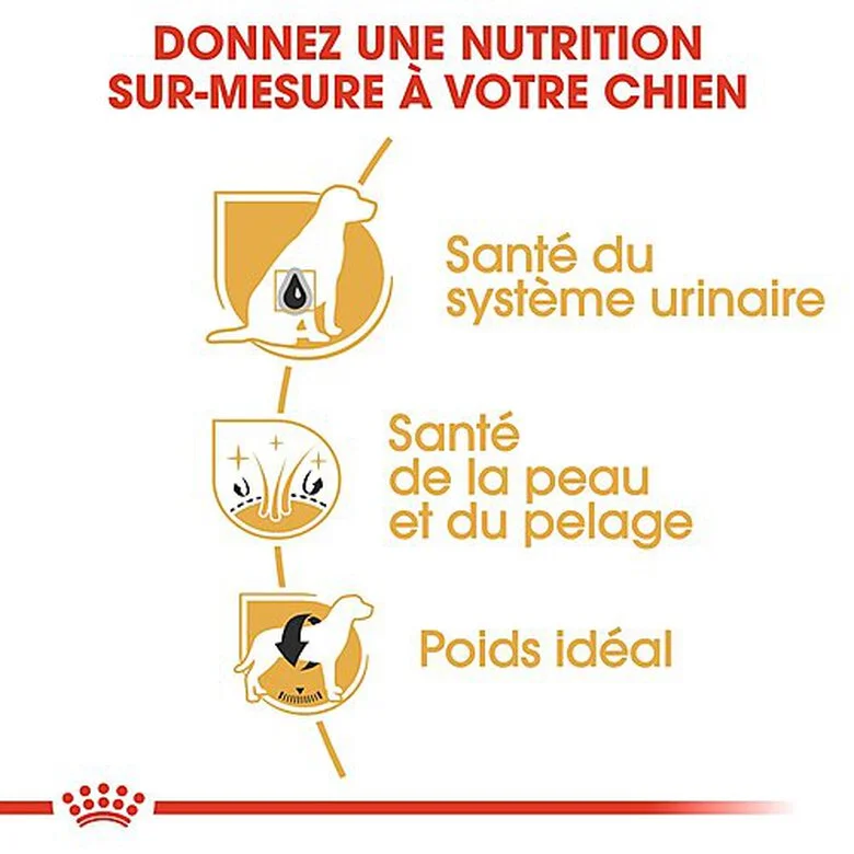 Royal Canin - Croquettes Bichon Frisé Pour Chien Adulte - 1,5Kg 7 Royal Canin - Croquettes Bichon Frisé Pour Chien Adulte - 1,5Kg – Image 5