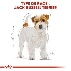 Royal Canin - Croquettes Jack Russel Terrier Pour Chien Adulte 10 Royal Canin - Croquettes Jack Russel Terrier Pour Chien Adulte -Animalerie Boutique 67829
