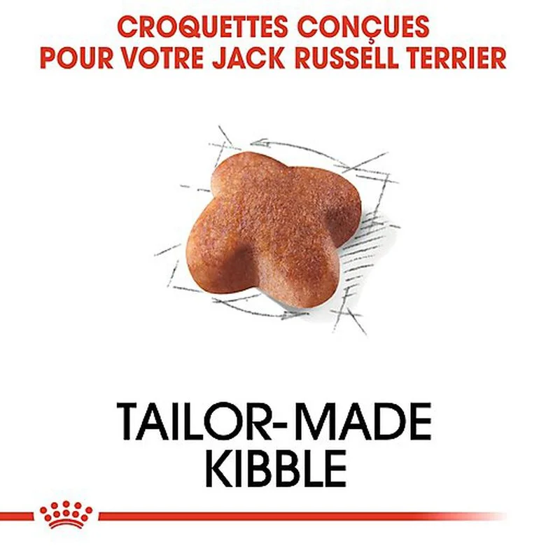 Royal Canin - Croquettes Jack Russel Terrier Pour Chien Adulte 6 Royal Canin - Croquettes Jack Russel Terrier Pour Chien Adulte – Image 4