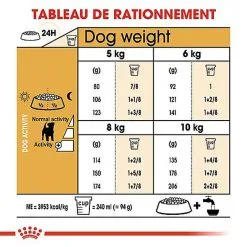 Royal Canin - Croquettes Jack Russel Terrier Pour Chien Adulte 13 Royal Canin - Croquettes Jack Russel Terrier Pour Chien Adulte -Animalerie Boutique 67832