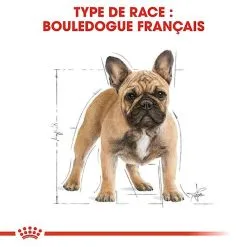 Royal Canin - Croquettes Bouledogue Français Adulte Pour Chien - 9Kg -Animalerie Boutique 67997