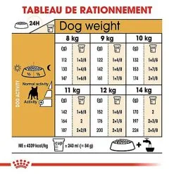 Royal Canin - Croquettes Bouledogue Français Adulte Pour Chien - 9Kg -Animalerie Boutique 68001