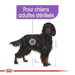 Royal Canin - Croquettes Maxi Sterilised Pour Chien Adulte Stérilisé - 3Kg -Animalerie Boutique 68021