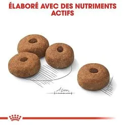 Royal Canin - Croquettes Maxi Sterilised Pour Chien Adulte Stérilisé - 3Kg -Animalerie Boutique 68023