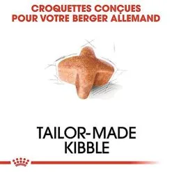 Royal Canin - Croquettes Berger Allemand Pour Chien Adulte - 11Kg -Animalerie Boutique 68076