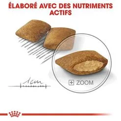 Royal Canin - Croquettes Mini Exigent Pour Chien - 3Kg -Animalerie Boutique 68084