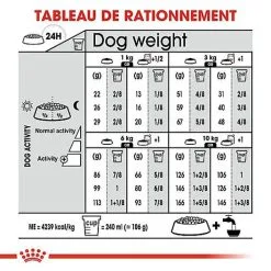Royal Canin - Croquettes Mini Exigent Pour Chien - 3Kg -Animalerie Boutique 68086