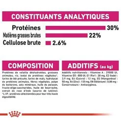 Royal Canin - Croquettes Mini Exigent Pour Chien - 3Kg -Animalerie Boutique 68087