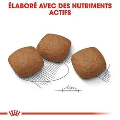 Royal Canin - Croquettes Maxi Joint Care Pour Chien - 10Kg -Animalerie Boutique 68092
