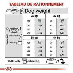 Royal Canin - Croquettes Maxi Joint Care Pour Chien - 10Kg -Animalerie Boutique 68093