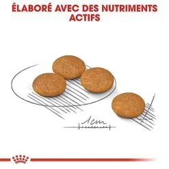 Royal Canin - Croquettes Mini Dermacomfort Pour Chien - 2Kg 14 Royal Canin - Croquettes Mini Dermacomfort Pour Chien - 2Kg -Animalerie Boutique 68100