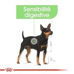 Royal Canin - Croquettes Mini Digestive Care Pour Chien - 3Kg -Animalerie Boutique 68122