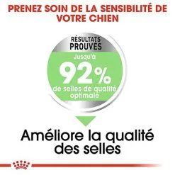 Royal Canin - Croquettes Mini Digestive Care Pour Chien - 3Kg -Animalerie Boutique 68123