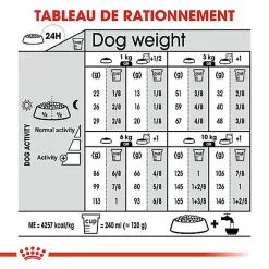 Royal Canin - Croquettes Mini Digestive Care Pour Chien - 3Kg -Animalerie Boutique 68126